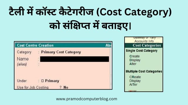 टैली में कॉस्ट कैटेगरीज (Cost Category) को संक्षिप्त में बताइए।