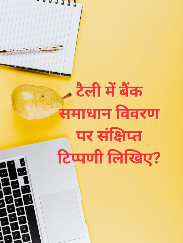 टैली में बैंक समाधान विवरण पर संक्षिप्त टिप्पणी लिखिए?